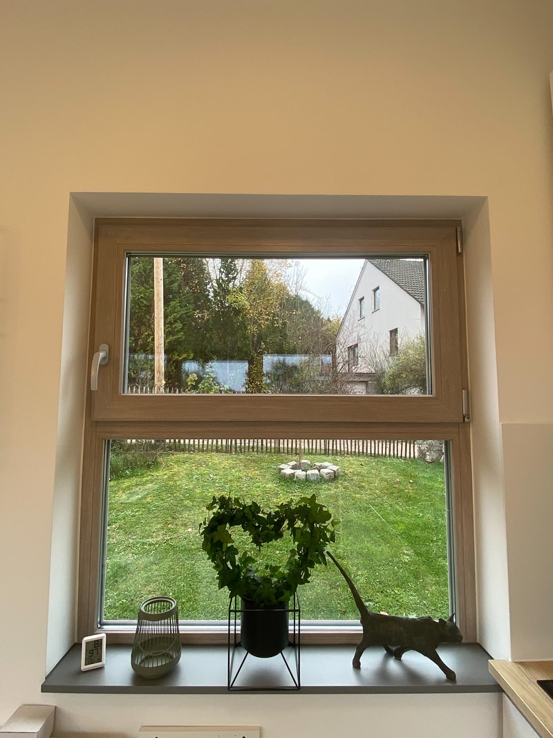 Uploaded Image 281