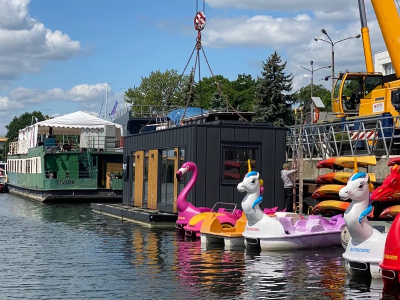 Uploaded Image 256